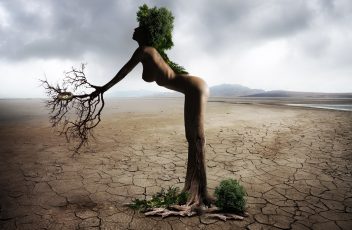 woman-845850